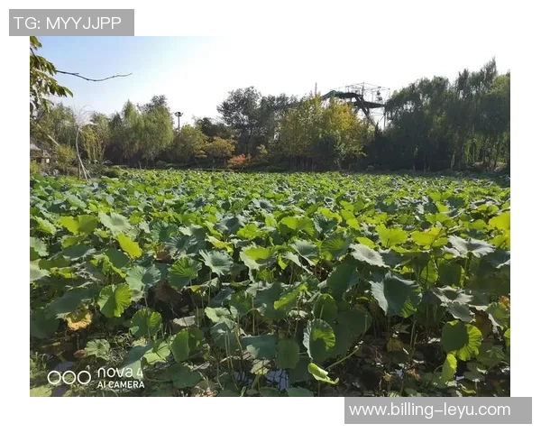 实况足球3速度9全新玩法解析与技巧分享让你轻松掌握游戏精髓